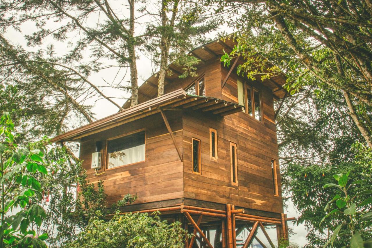 Hotel La Gloria Reserva Forestal *