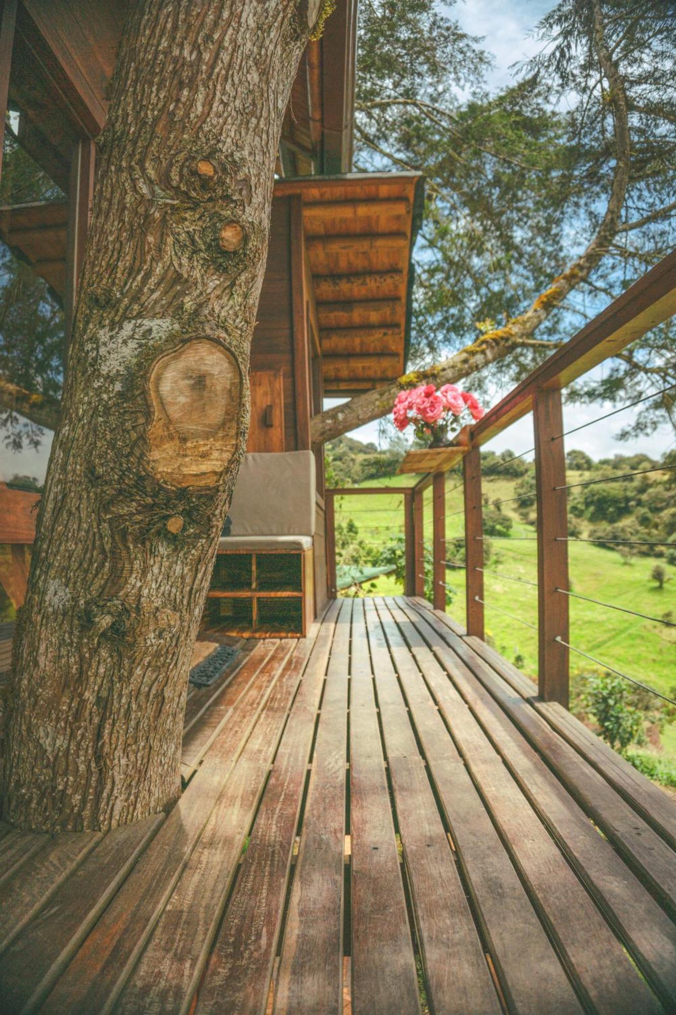 La Gloria Reserva Forestal *