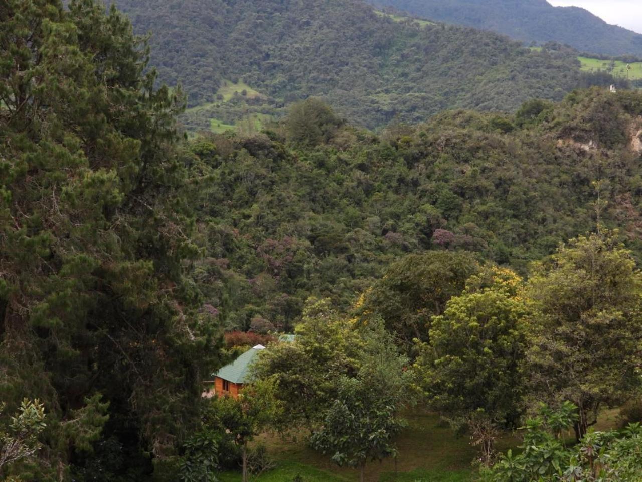 La Gloria Reserva Forestal Hotel *